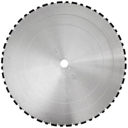 Диск алмазный BS-WG Dr.Schulze, ø 700 х 60 мм (40 мм)