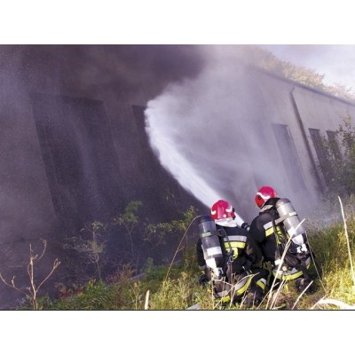 Бензиновая установка пожаротушения FIRE-TEC HDL 200 Oertzen, 13 л.с. / 200 бар, без бака