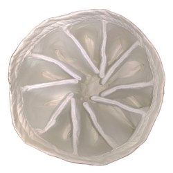 Фильтр класса М ø 460 мм