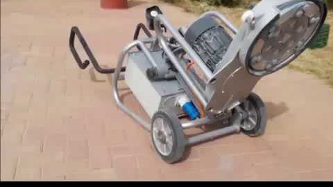 Walk-behind Edgers - LAVINA 13